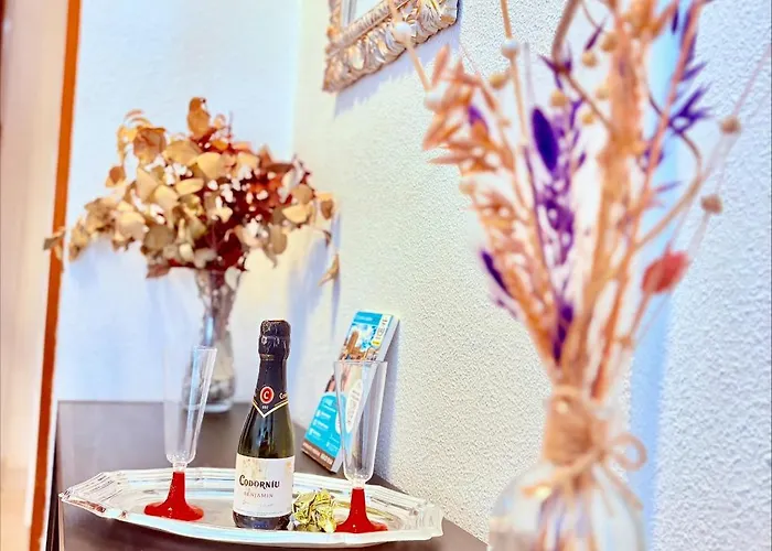 Casa de hóspedes La Rosa